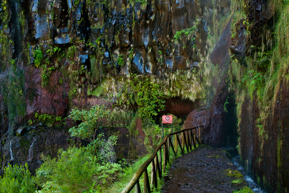 438_Madera_Levada Risco.jpg